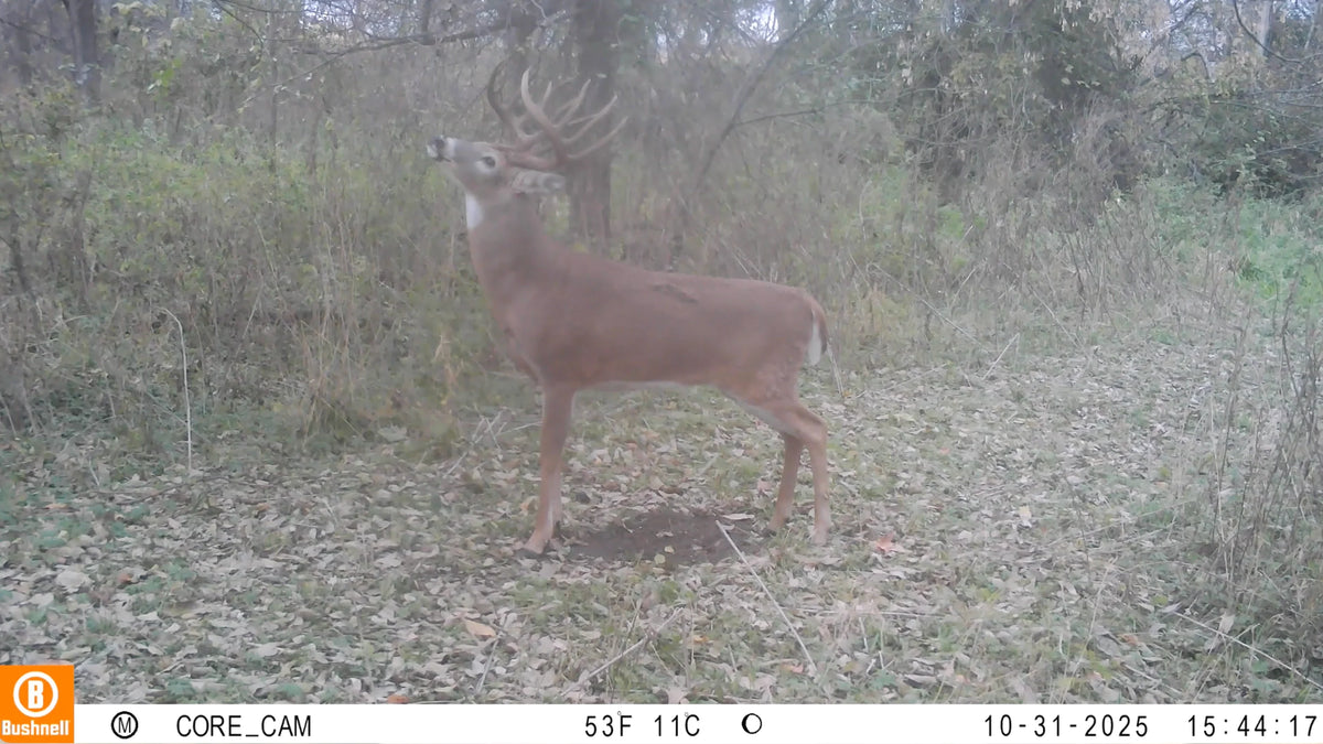 The Rut System | Peak Rut